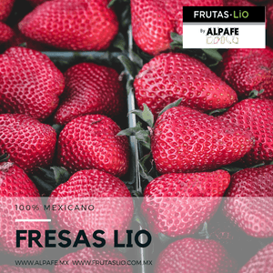 Fresa Liofilizada Rebanada - Alpafe - Frutas Lio
