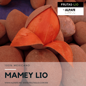 Mamey Liofilizado en Polvo - Alpafe - Frutas Lio